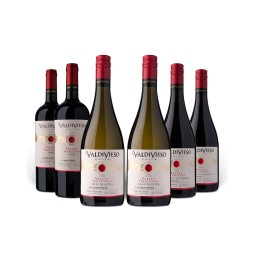 Encuentra pack de Vinos Valdivieso Valley Selection Gran Reserva aquí