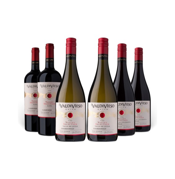 Encuentra pack de Vinos Valdivieso Valley Selection Gran Reserva aquí