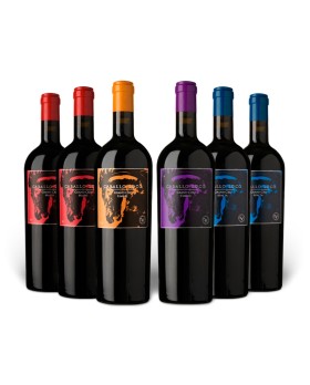 Pack Caballo Loco Grand Cru Mix