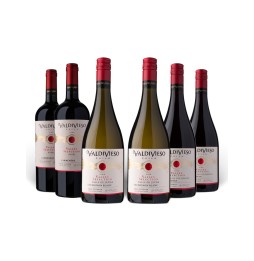 Encuentra pack de Vinos Valdivieso Valley Selection Gran Reserva aquí