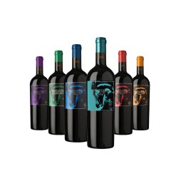 Pack Caballo Loco Grand Cru Indomable